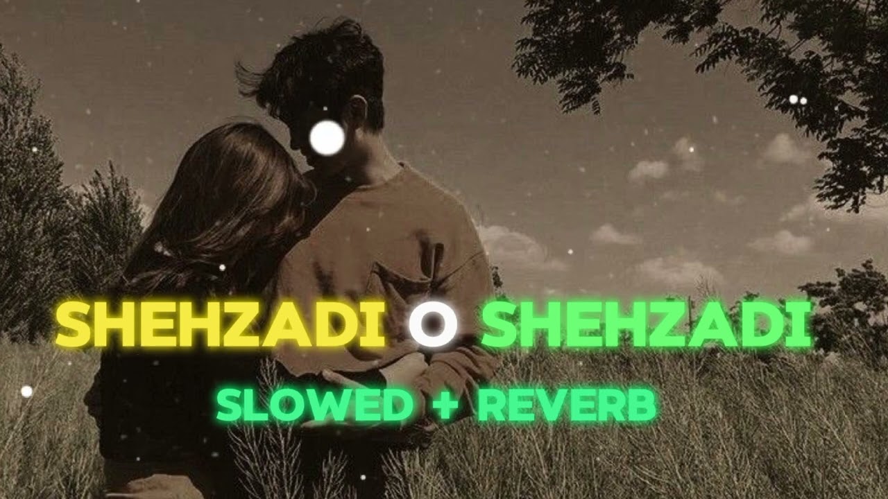 shehzadi o shehzadi odia song slowed and reverb || #lofi #slowedandreverb #odialofisong #odialofi