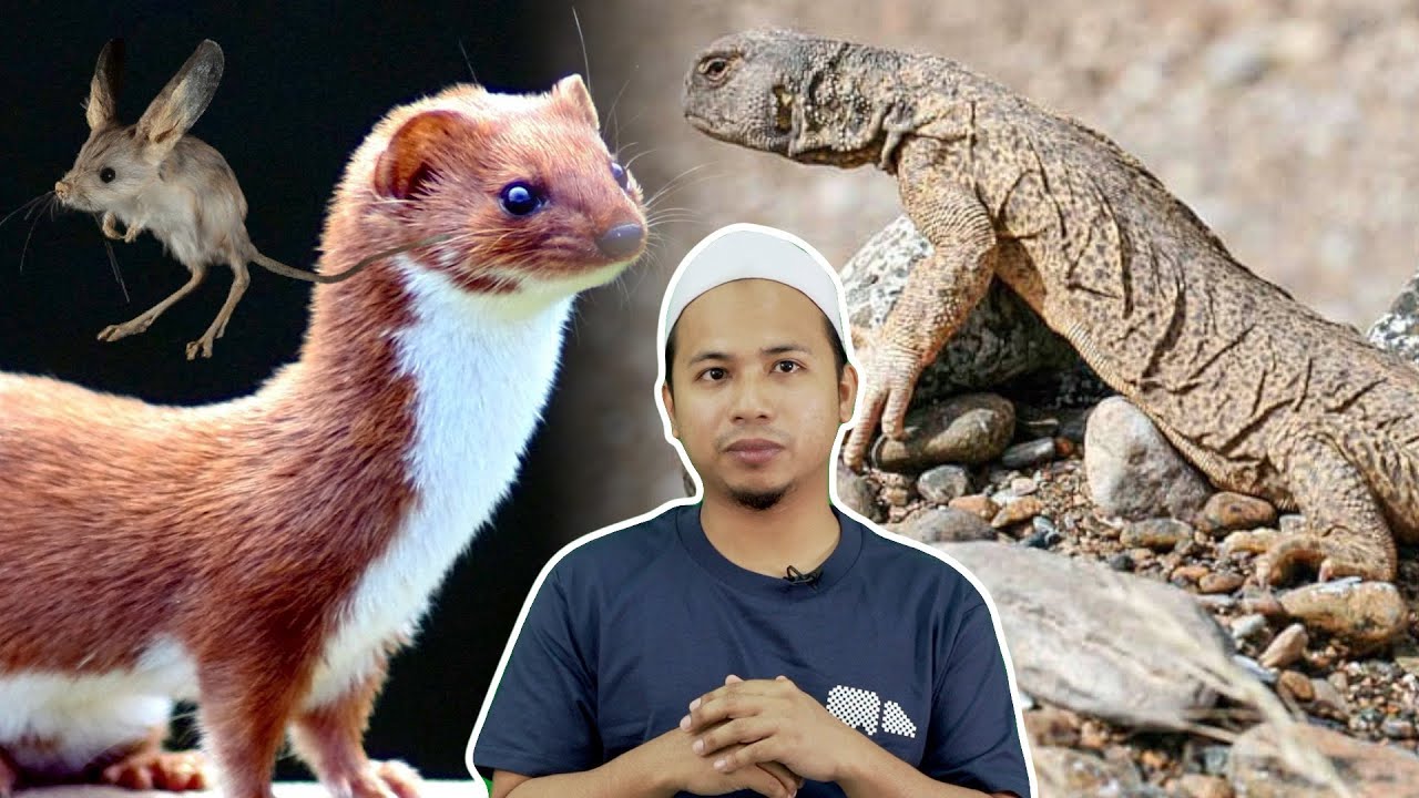 6 Haiwan Rare yang Orang Islam Boleh Makan