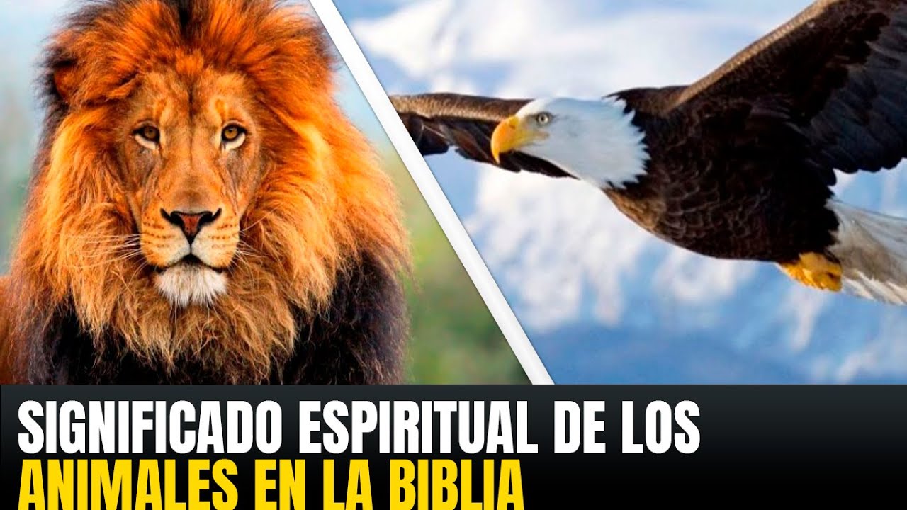 🔴EL SIGNIFICADO ESPIRITUAL DE LOS ANIMALES EN LA BIBLIA, 🔥SUEÑOS Y REVELACIONES