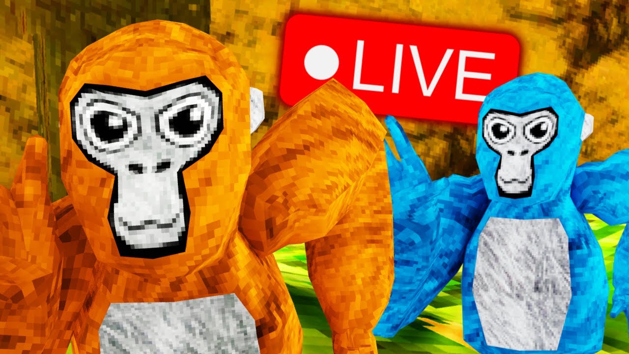 🔴GORILLA TAG LIVE EVENT COUNDOUND ! 🔴