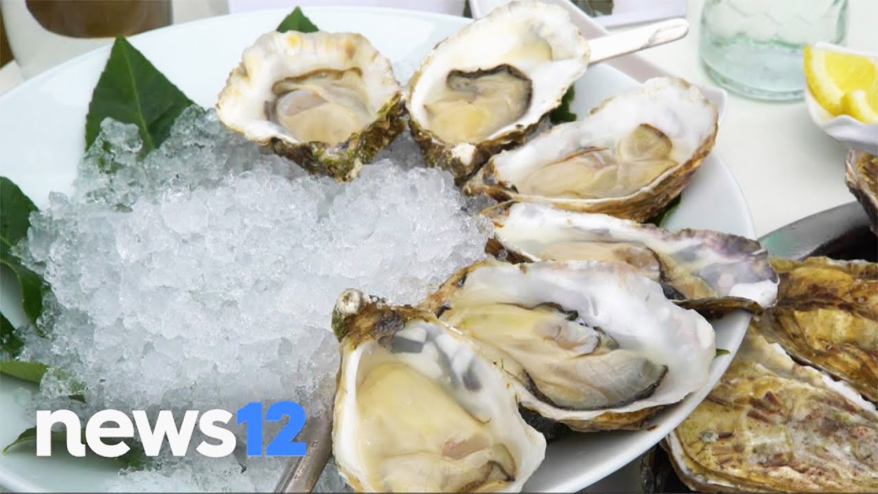 Revealed: Diving into New York's Oysters History | News 12