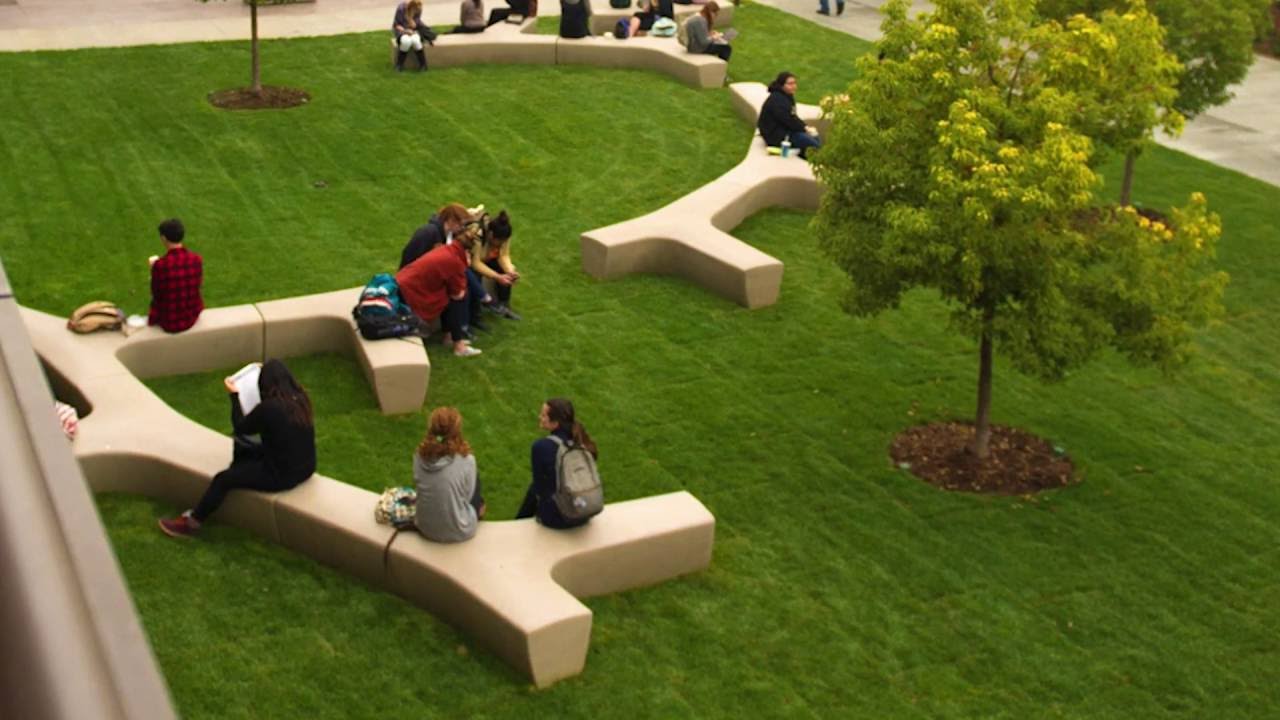 California State University Long Beach - 5 Things You Must Do On Campus