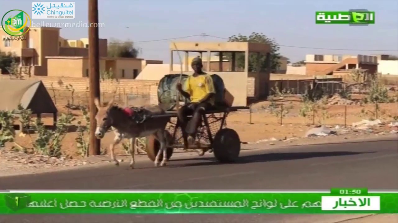 تقرير محمد المصطفى النون من مدينة كيفه  لقناة الوطنية
