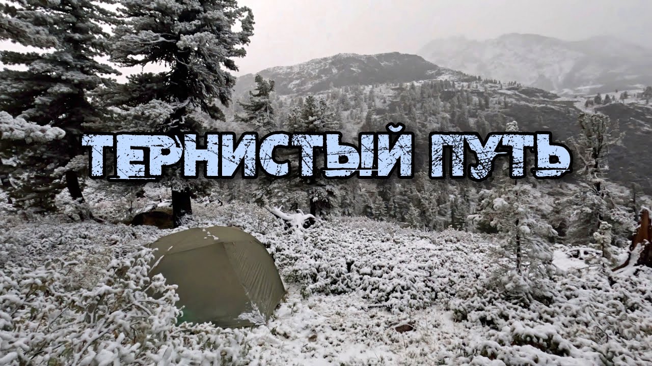Выбираемся из снегов | Продираемся сквозь густые заросли #12