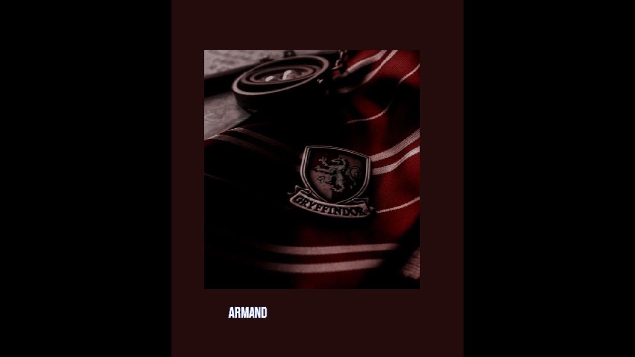 POV: You Are A Secret Death Eater / A Gryffindor Playlist