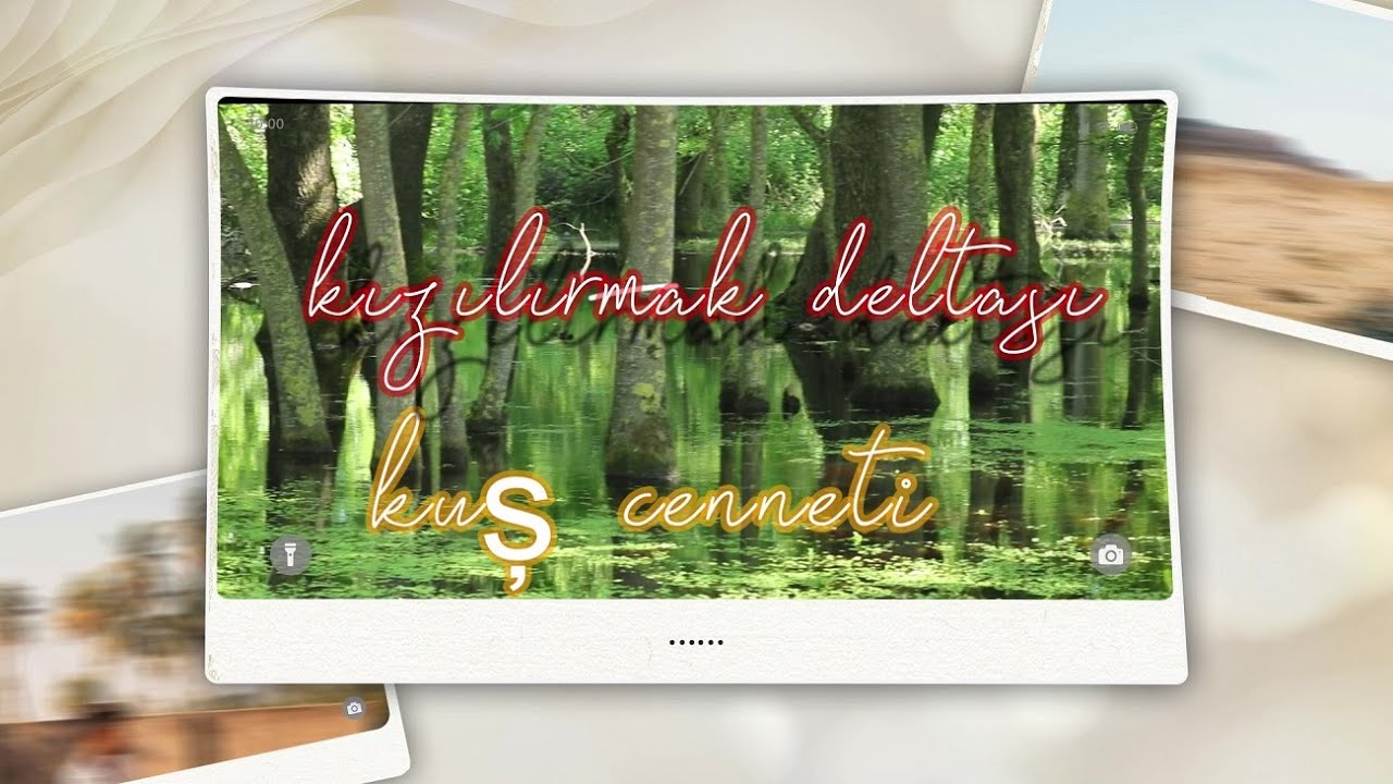Kızılırmak deltası Kuş Cenneti