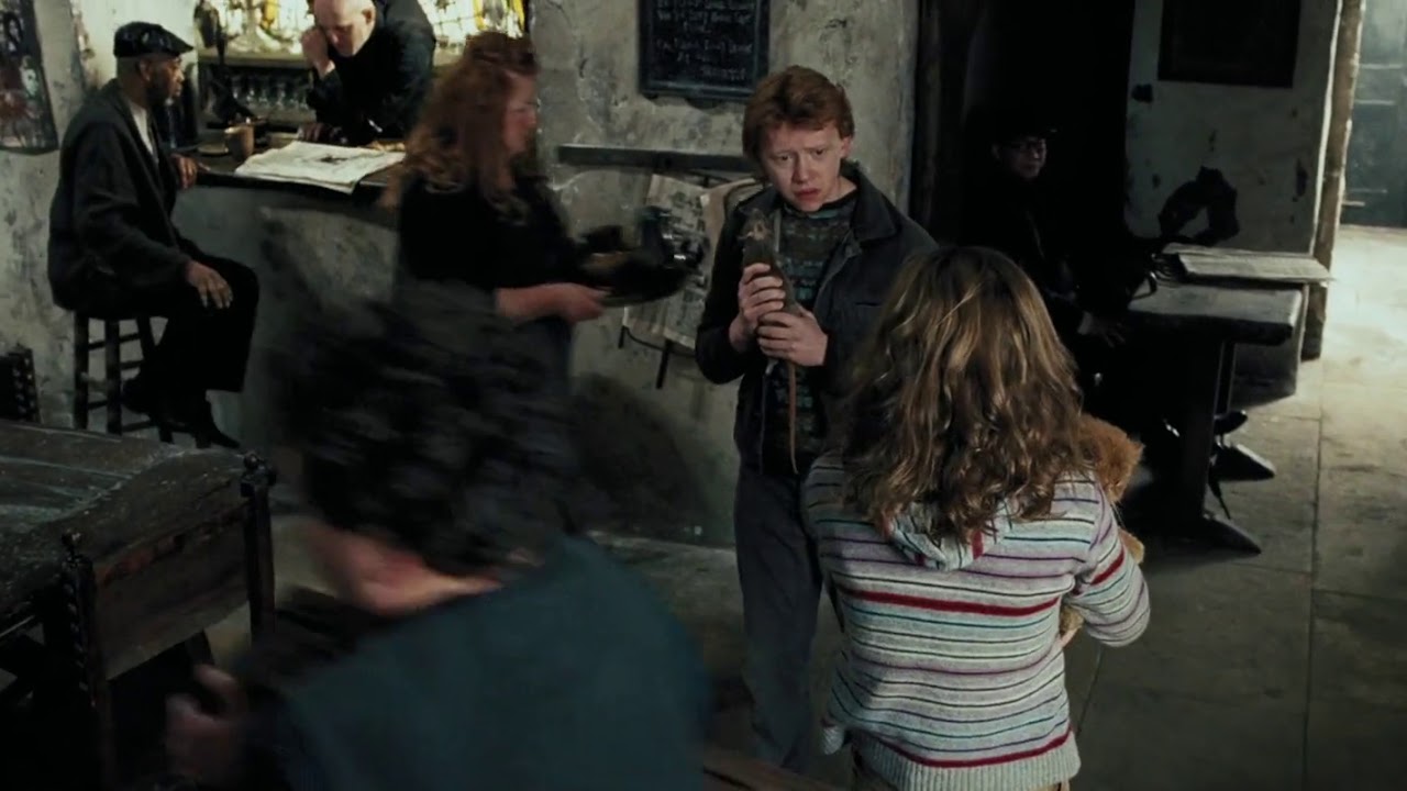 Hermione And Ron Rat Cat Fight - Harry Potter And The Prisoner Of Azkaban