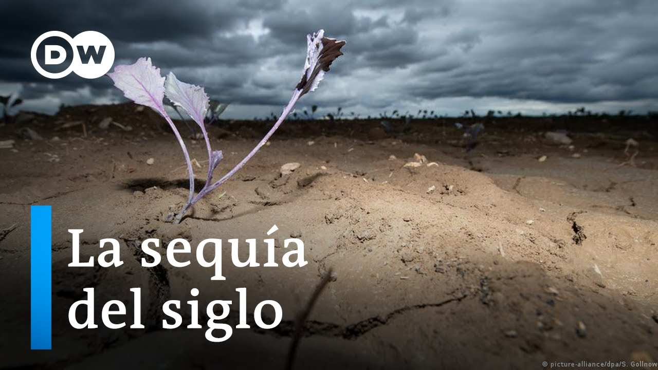 Brasil se queda sin agua por la deforestación