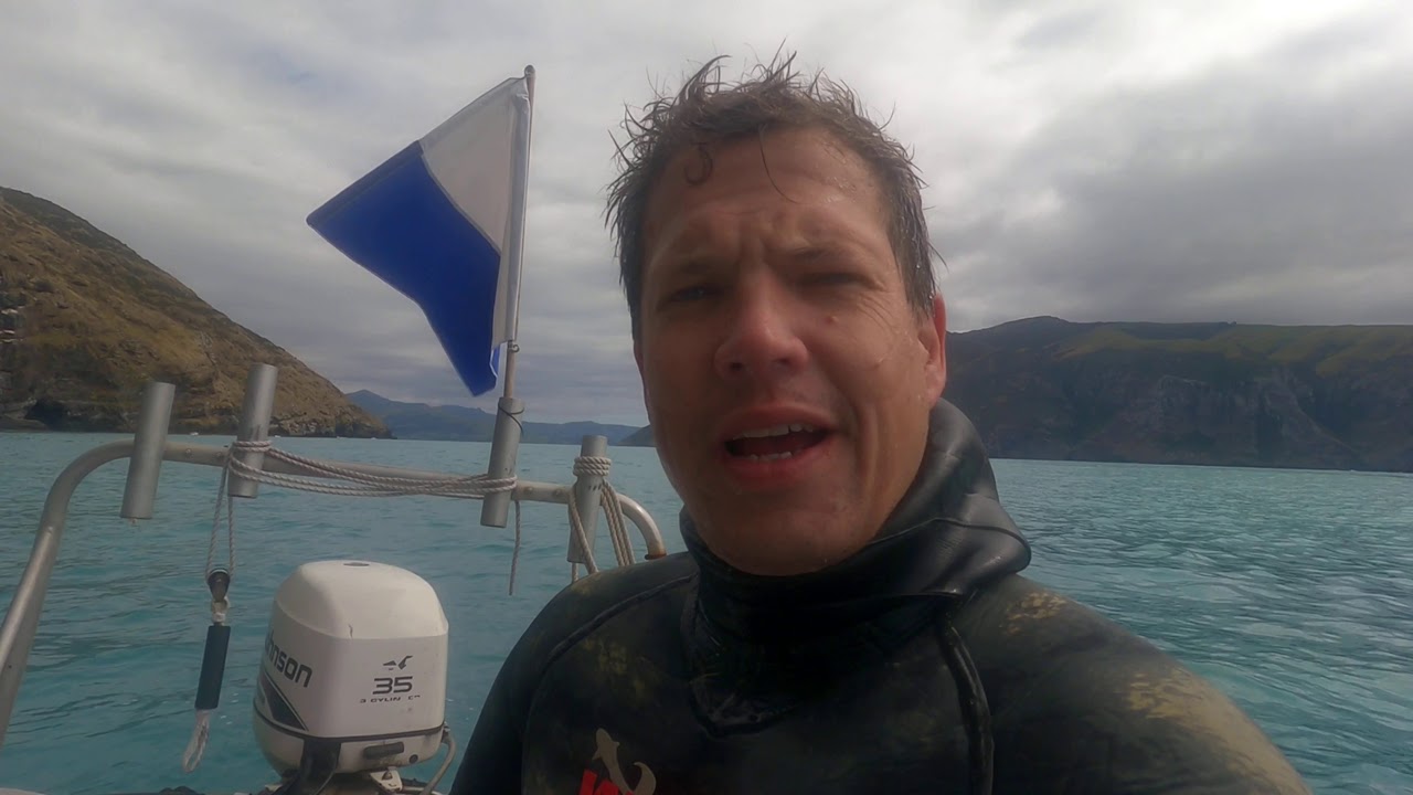 Spearfishing Akaroa Harbour, Jan 2021