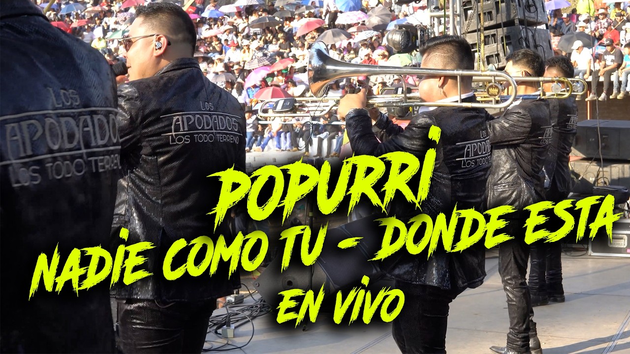 Los Apodados - Nadie Como Tu - Donde Esta - En Vivo.