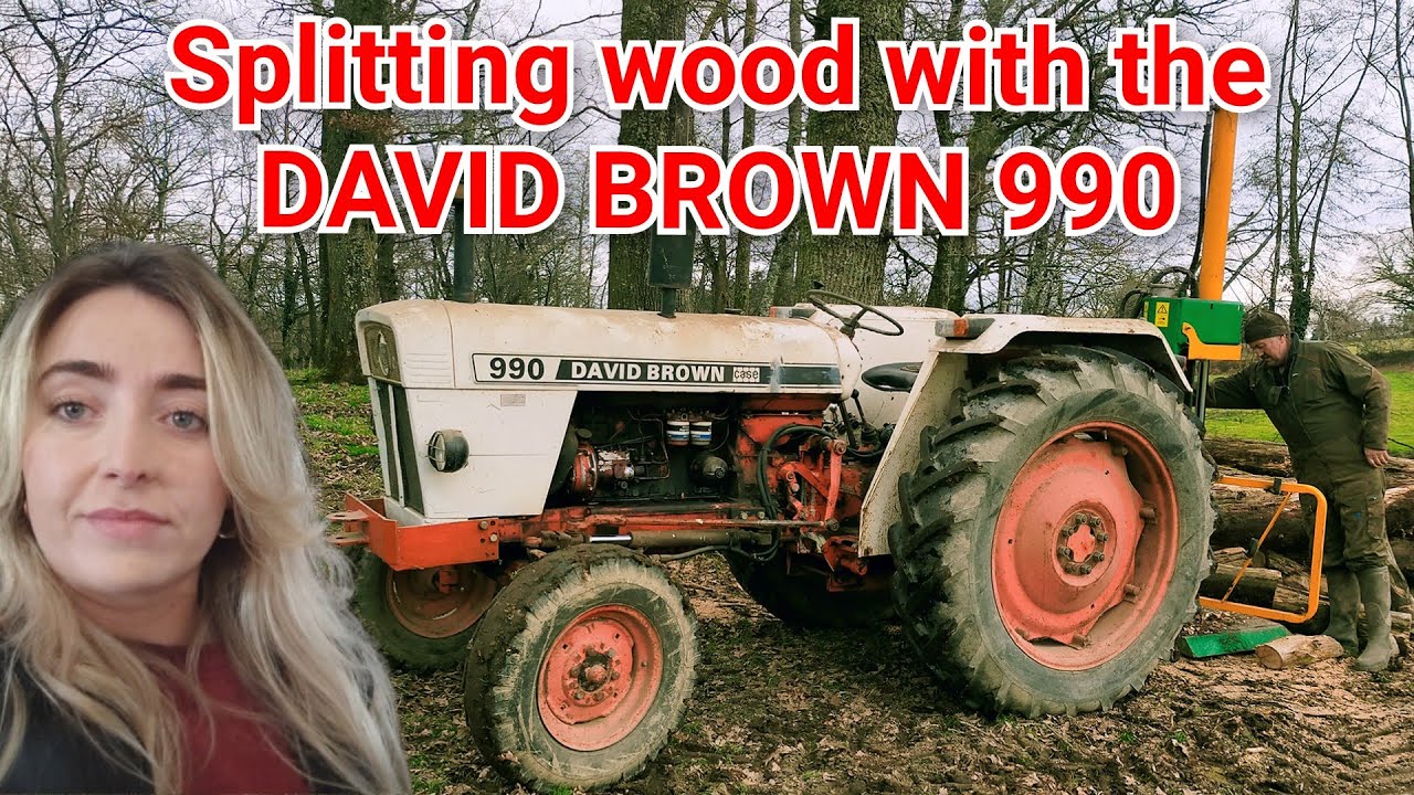 THE DAVID BROWN 990 IS PUT TO WORK SPLITTING TIMBER + Moving Cattle with the TL90