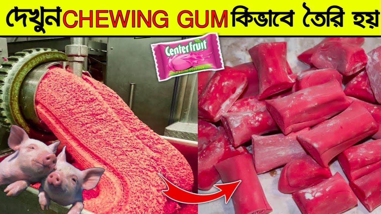 চুইংগামে যা মিশিয়ে তৈরি করা হয় দেখলে চমকে উঠবেন।Chewing Gum Making Process