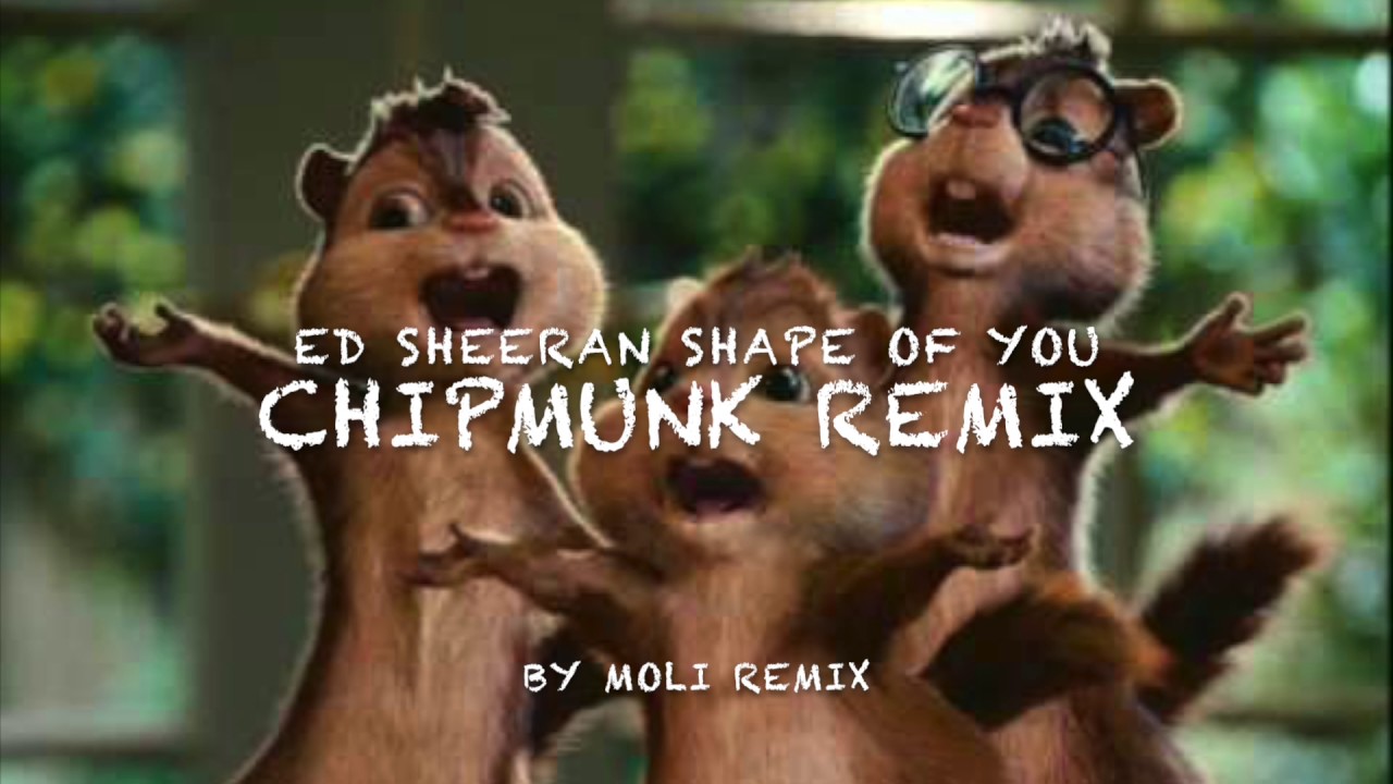 ED SHEERAN - SHAPE OF YOU - CHIPMUNK REMIX