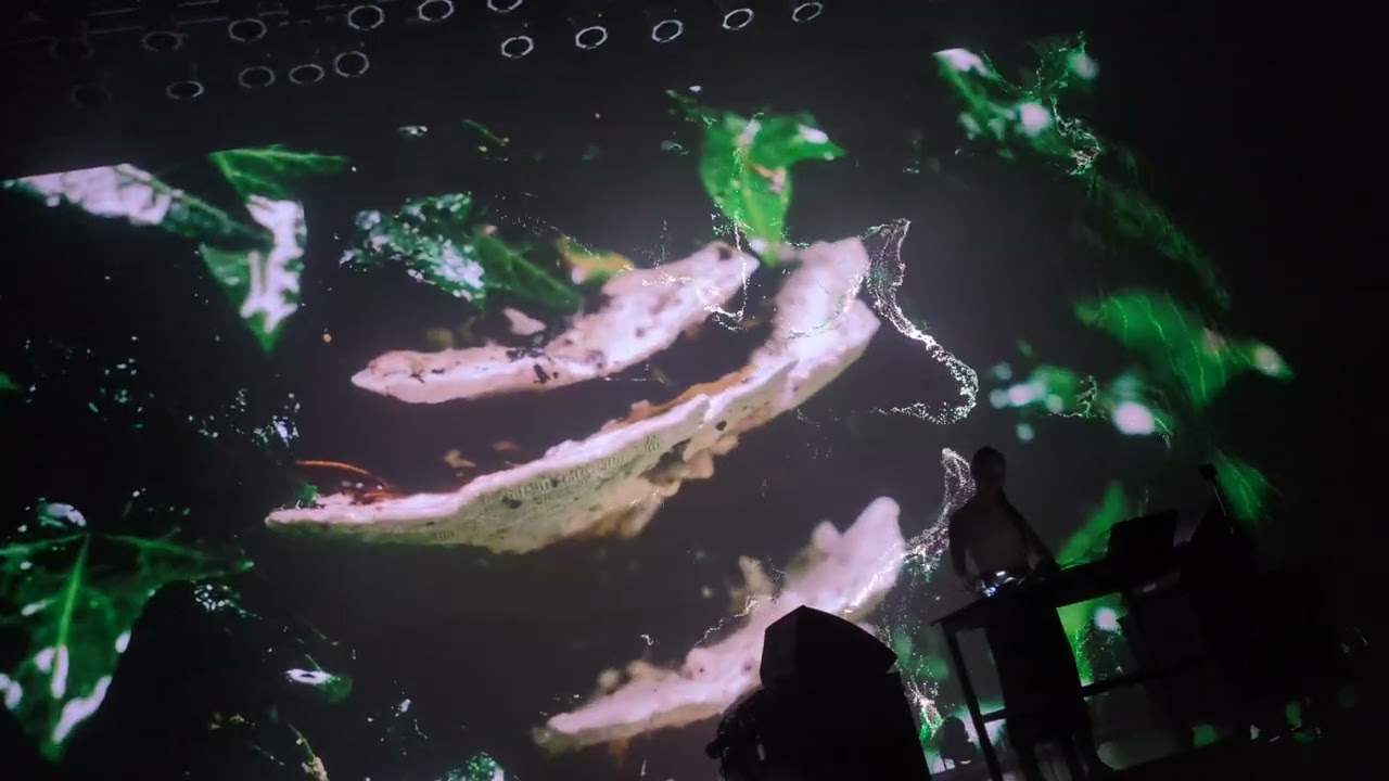 🎬️🛸MUTEK Festival 2024🛸〇Spotify O-EAST🎥👻🛸🏴&zwj;☠️📱Pixel 8a 4K (Ultra HD)