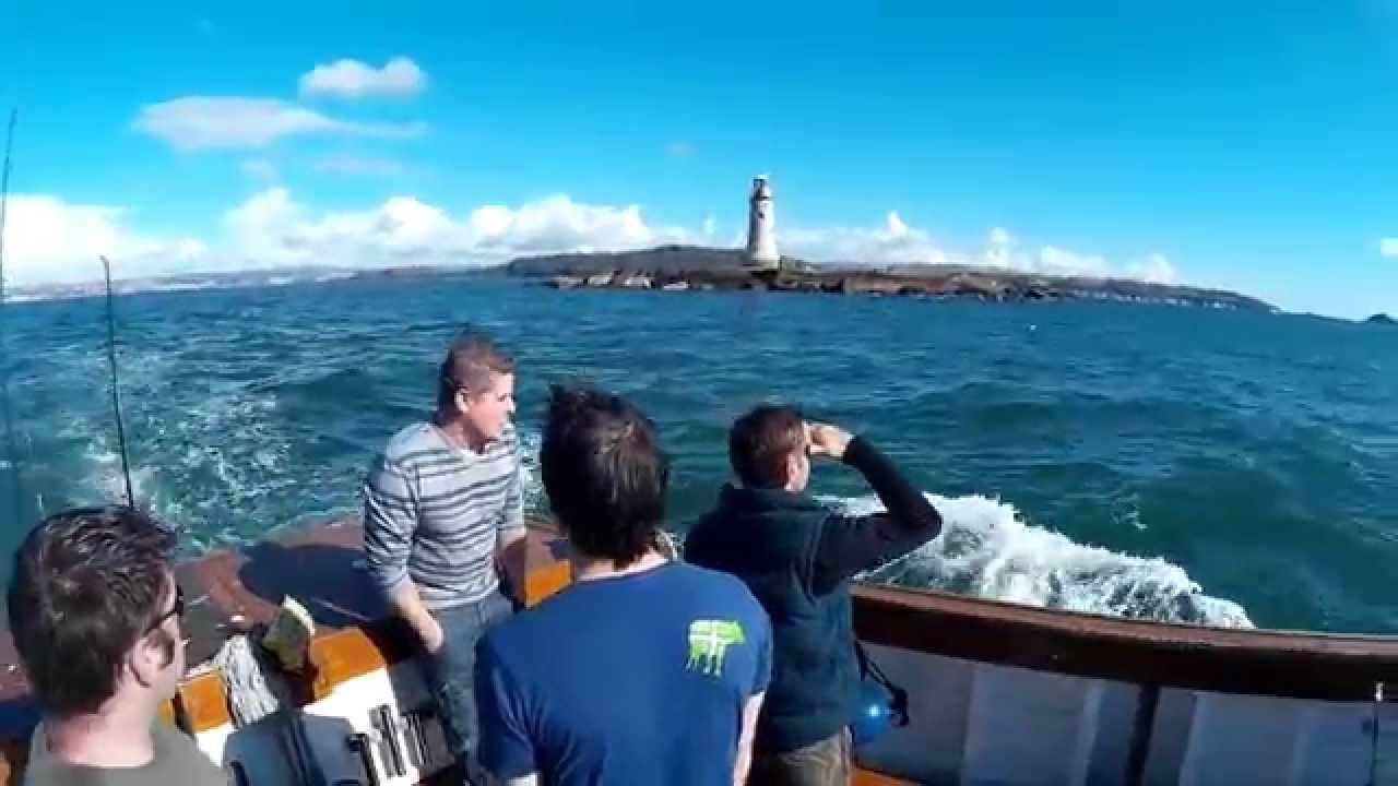 Fishing with Fish n Trips in Plymouth