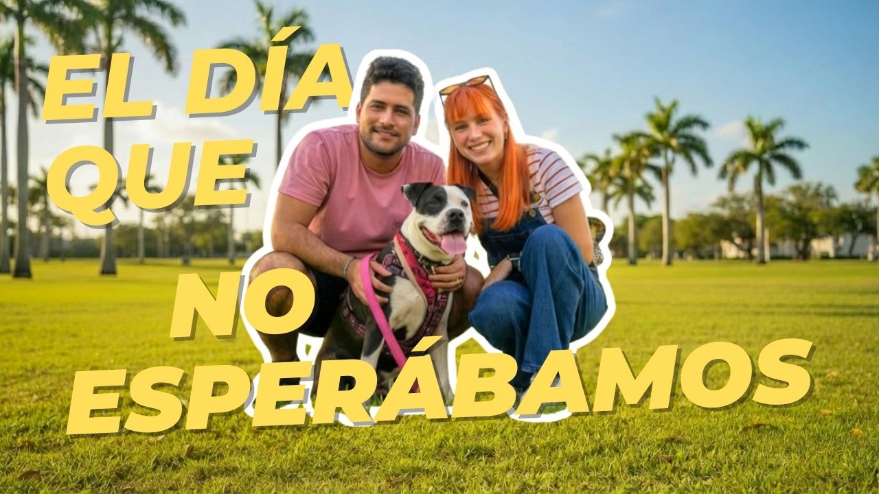 Actividades GRATIS en Miami: paseo solidario con perritos 🐾