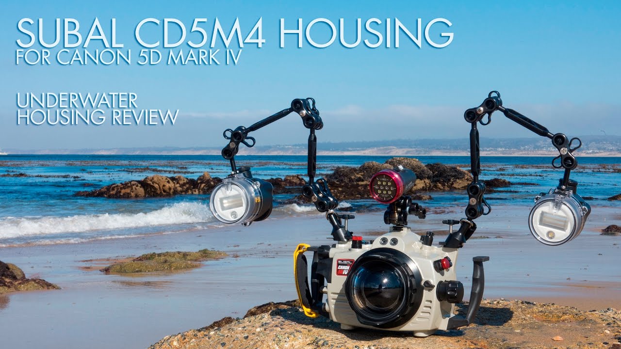 Subal Canon 5D Mark IV Underwater Housing Review