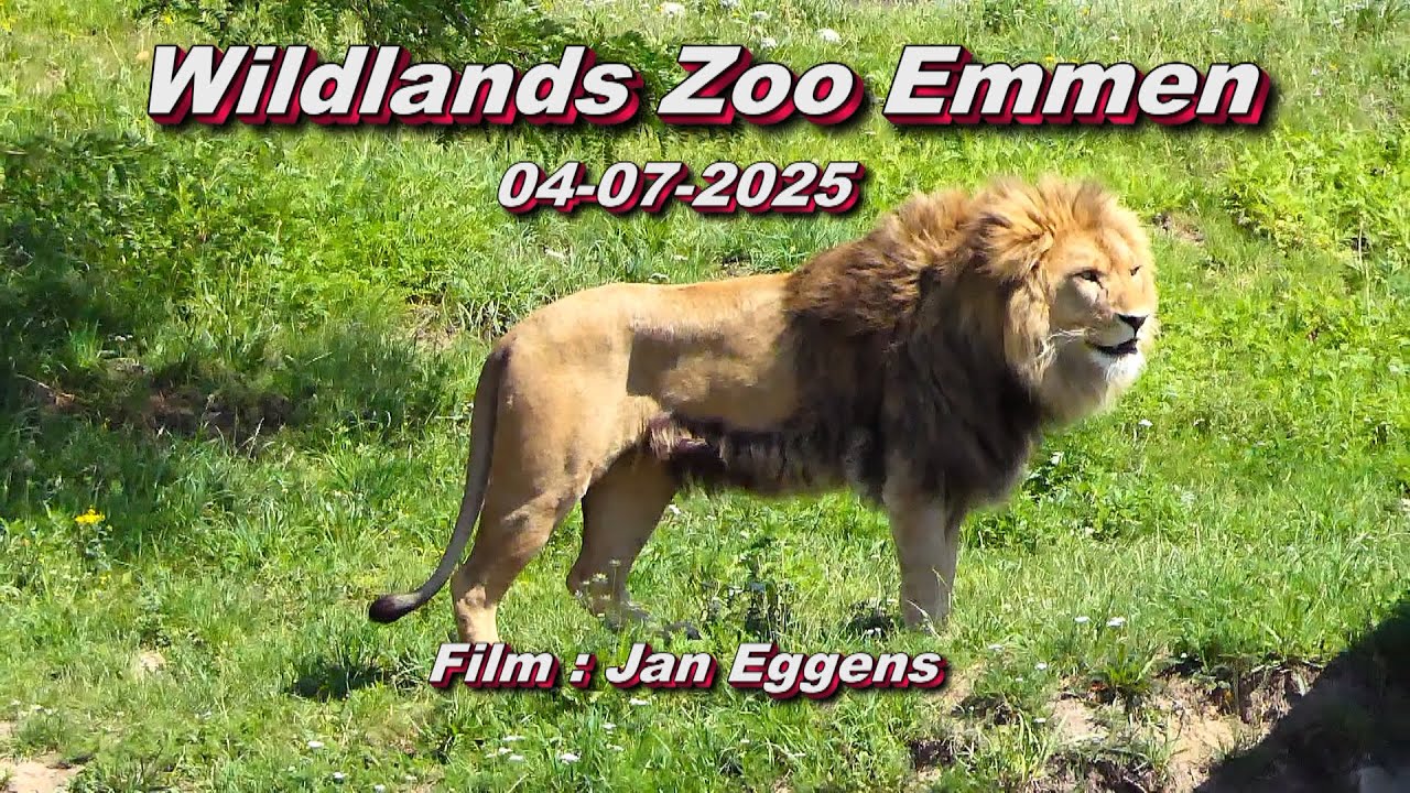 Wildlands Zoo Emmen 04 07 2025