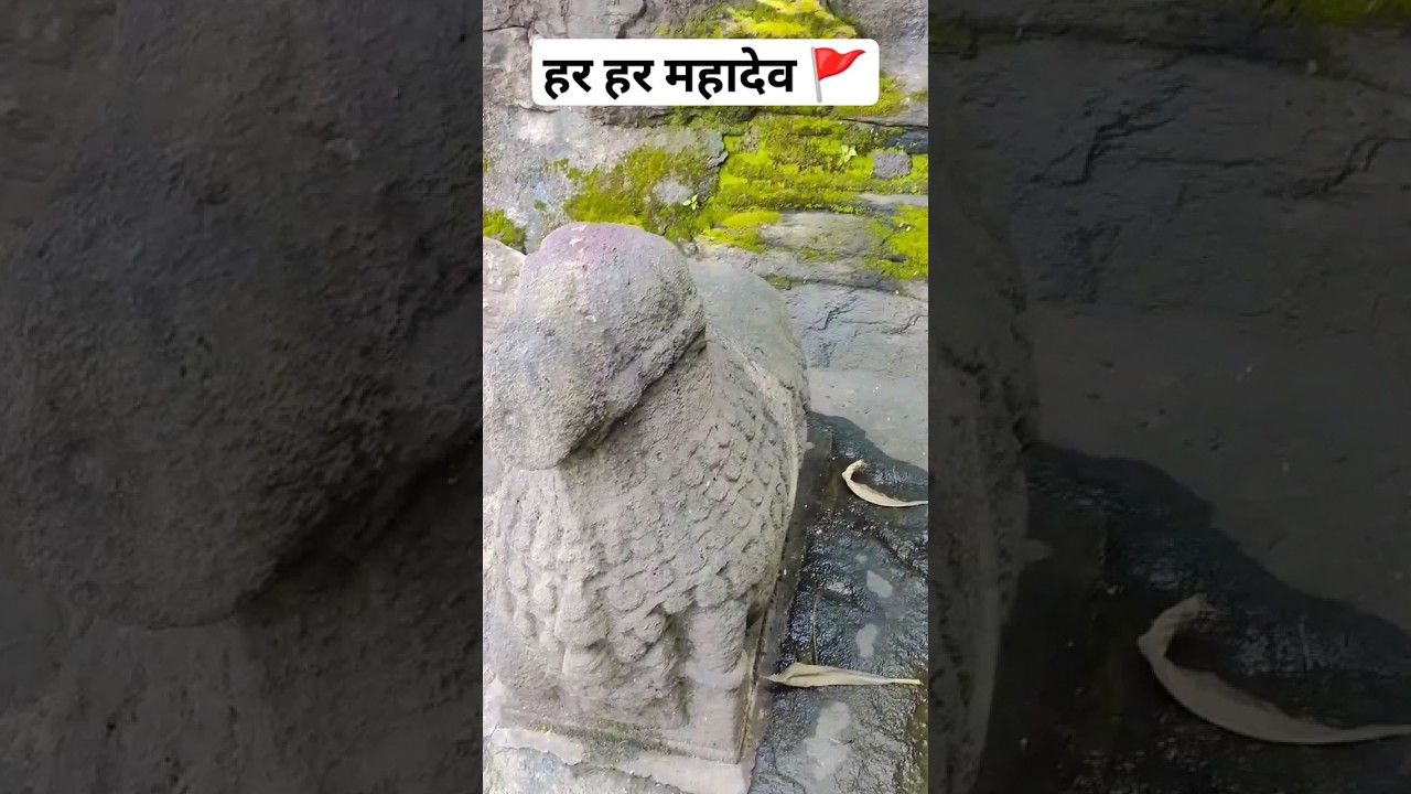 प्राचीन महादेव मंदिर || Pataleshwar cave temple || pune || Maharashtra || #shiv #temple #video