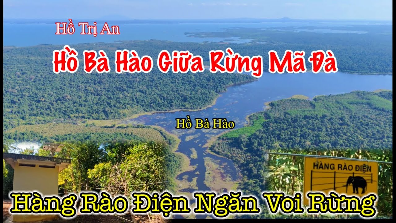 Hoang sơ Hồ Bà Hào và Hàng rào điện ngăn voi ở giữa rừng Mã Đà, khu rừng lớn và đẹp miền đông nam bộ