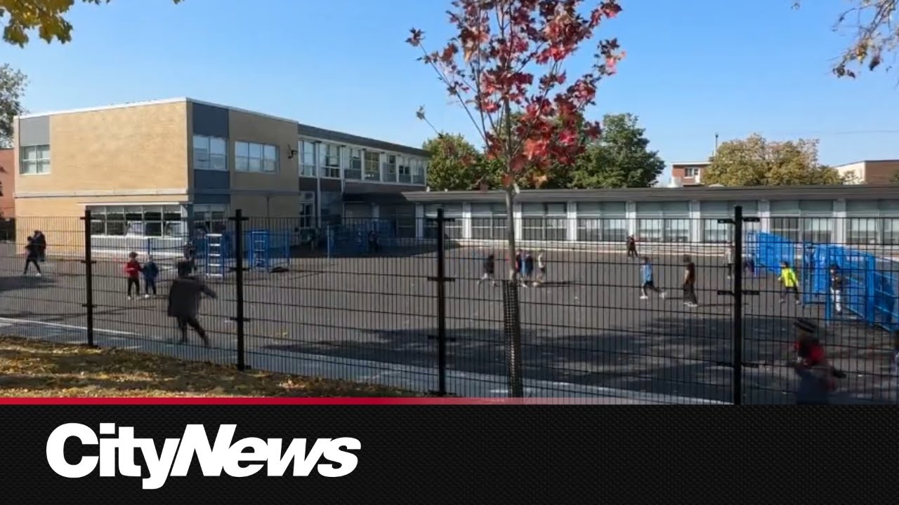 11 teachers suspended at Montreal school amid alleged 'toxic climate'