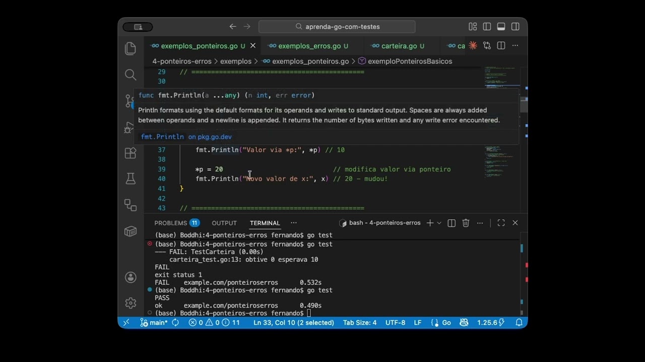 Curso básico de Go - Aula 04A - Ponteiros e Tratamento de Erros (pt. 1)