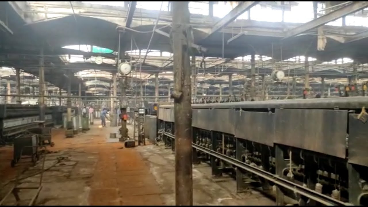 Delta Jute Mill: আবারও পুরনো কাজ ফিরে পাওয়ার আশায় বুক বাঁধছেন হাজারো শ্রমিক,খুলছে ডেল্টা জুট মিল