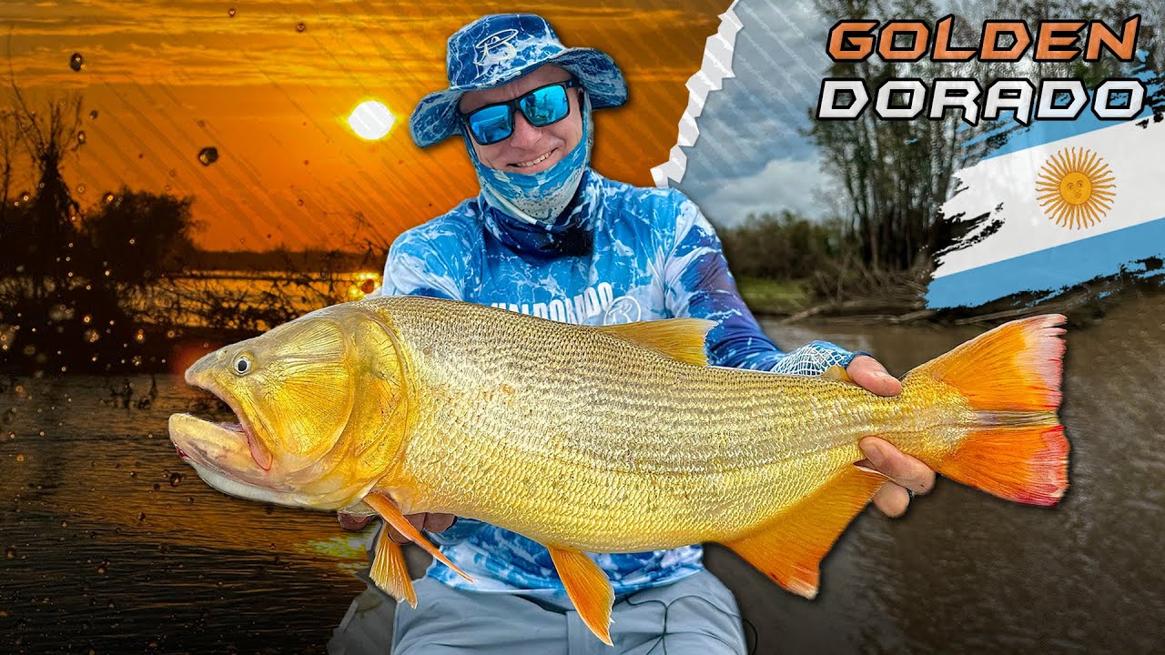 Döme Gábor - Dél-Amerika aranya, a Golden Dorado