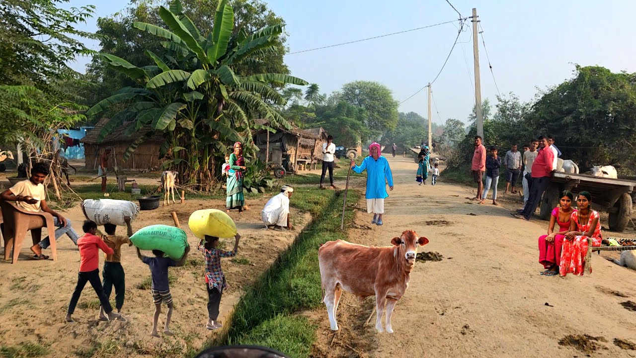The Rural India You’re Not Allowed to See🇮🇳 ] Shocking Reality [ Village Life Exposed