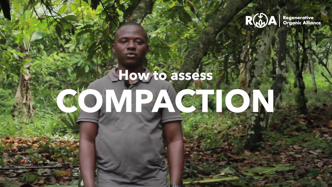 How to Measure Soil Compaction: Soil Health Tests for Agroforestry Producers