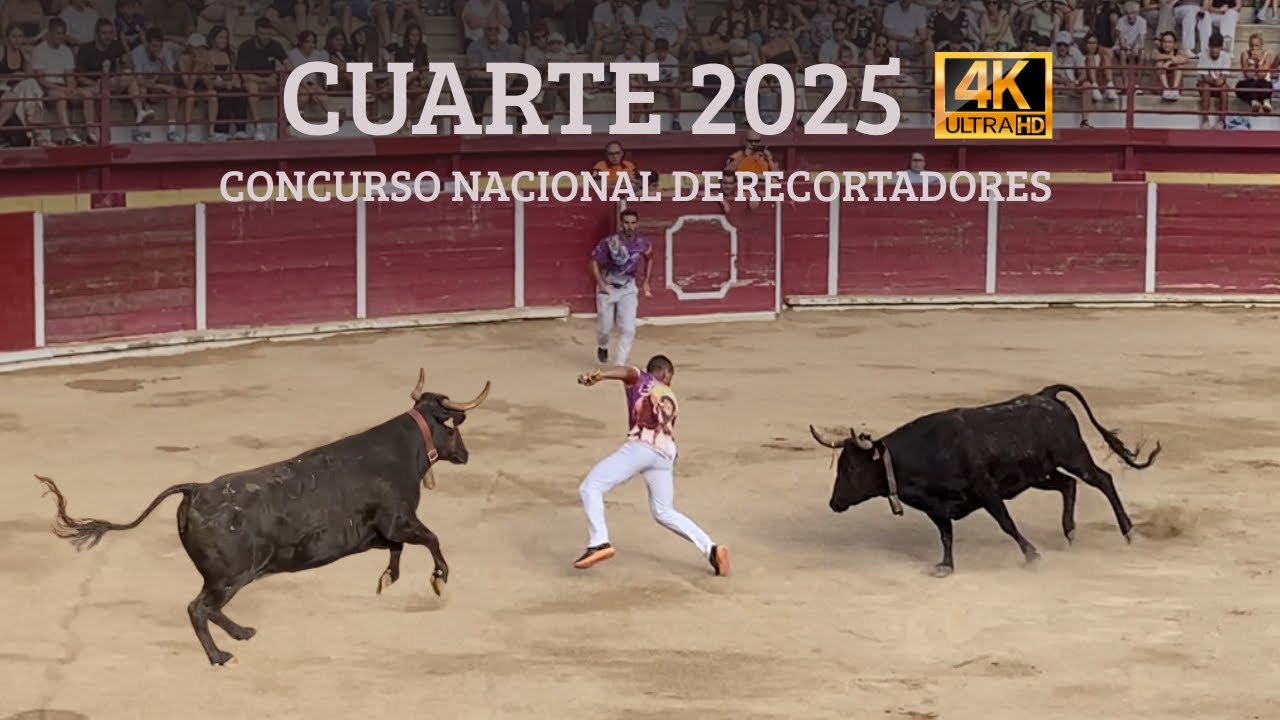 Cuarte de Huerva (Zaragoza) - 4K - 20/07/2024 Concurso Nacional Recortades