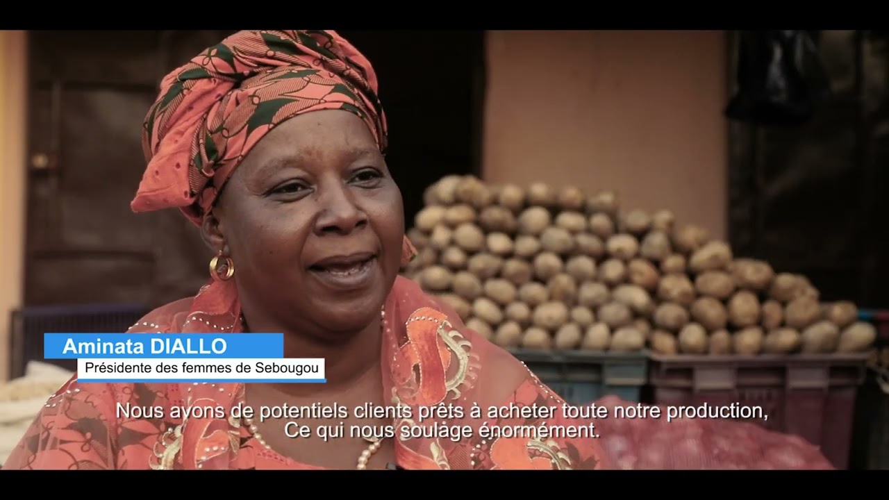 ONU-Femmes facilite l'accès des femmes aux terres agricoles: Une révolution verte au Mali.