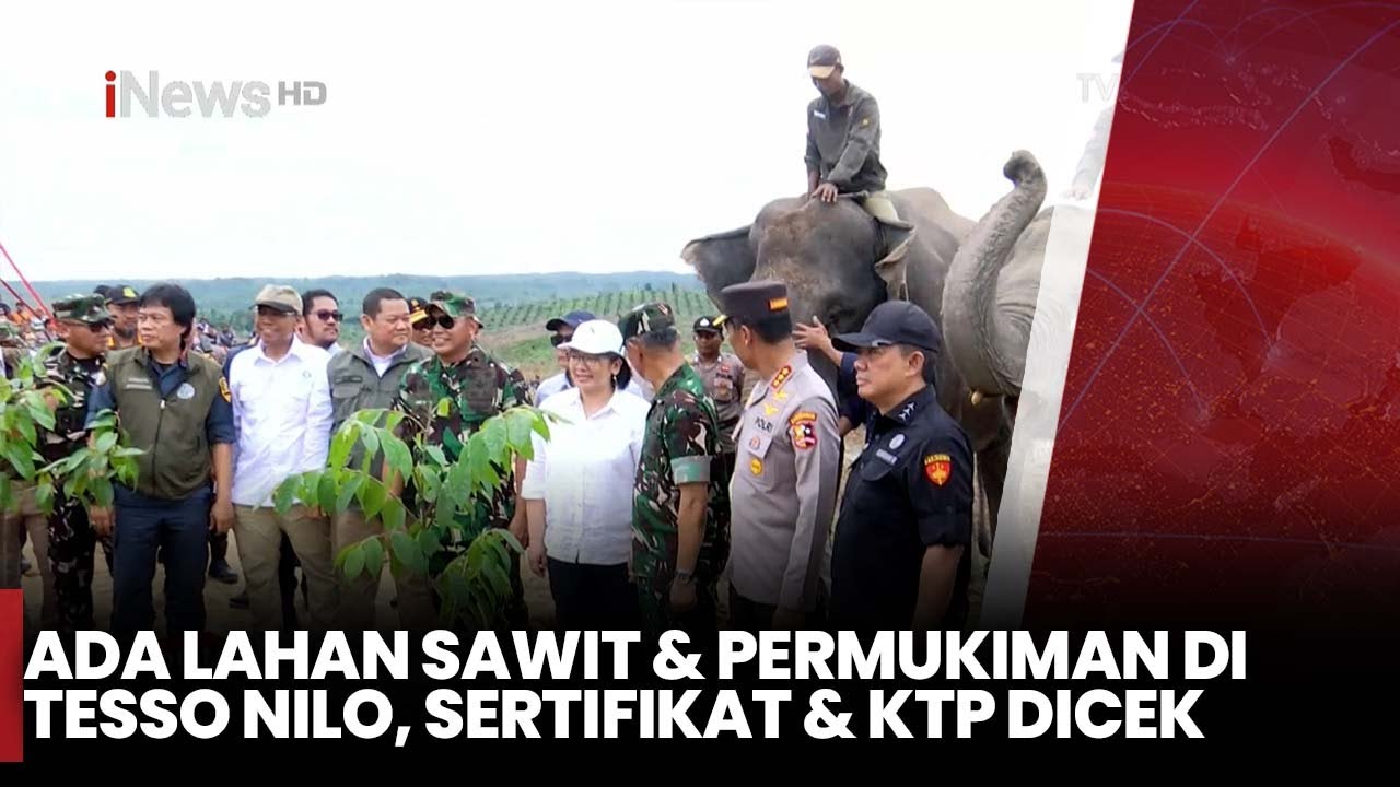 Kebun Sawit Ilegal Ditertibkan, Tesso Nilo Kembali Jadi Hutan Lindung | Pemimpin Rakyat | 11/06