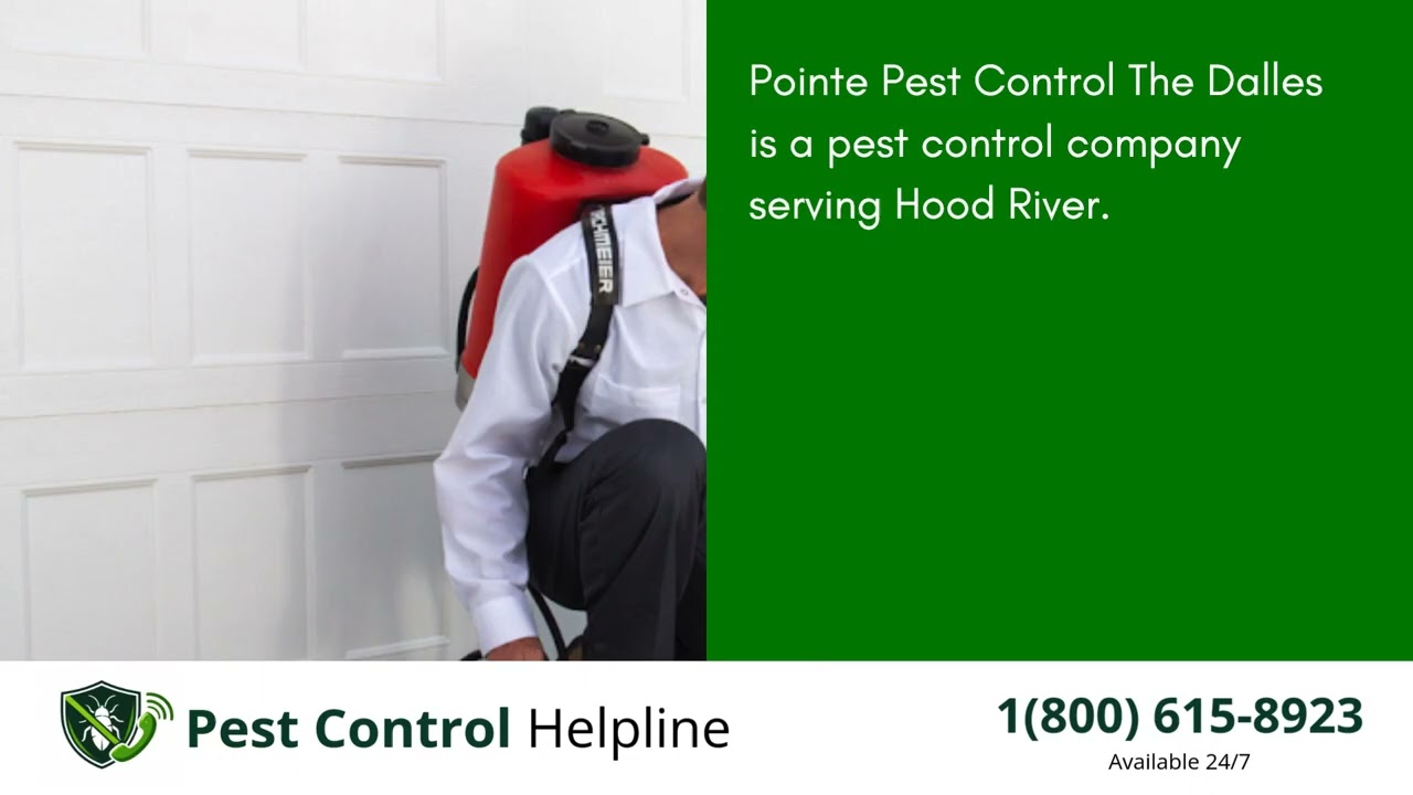 Top 3 Pest Control in Hood River
