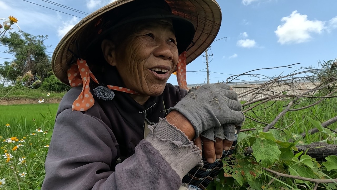 Kì Lạ Người Phụ Nữ Ở Lều Rách Cứu Chú Gà Trong Đống Rác Và Nuôi Như Con Ruột