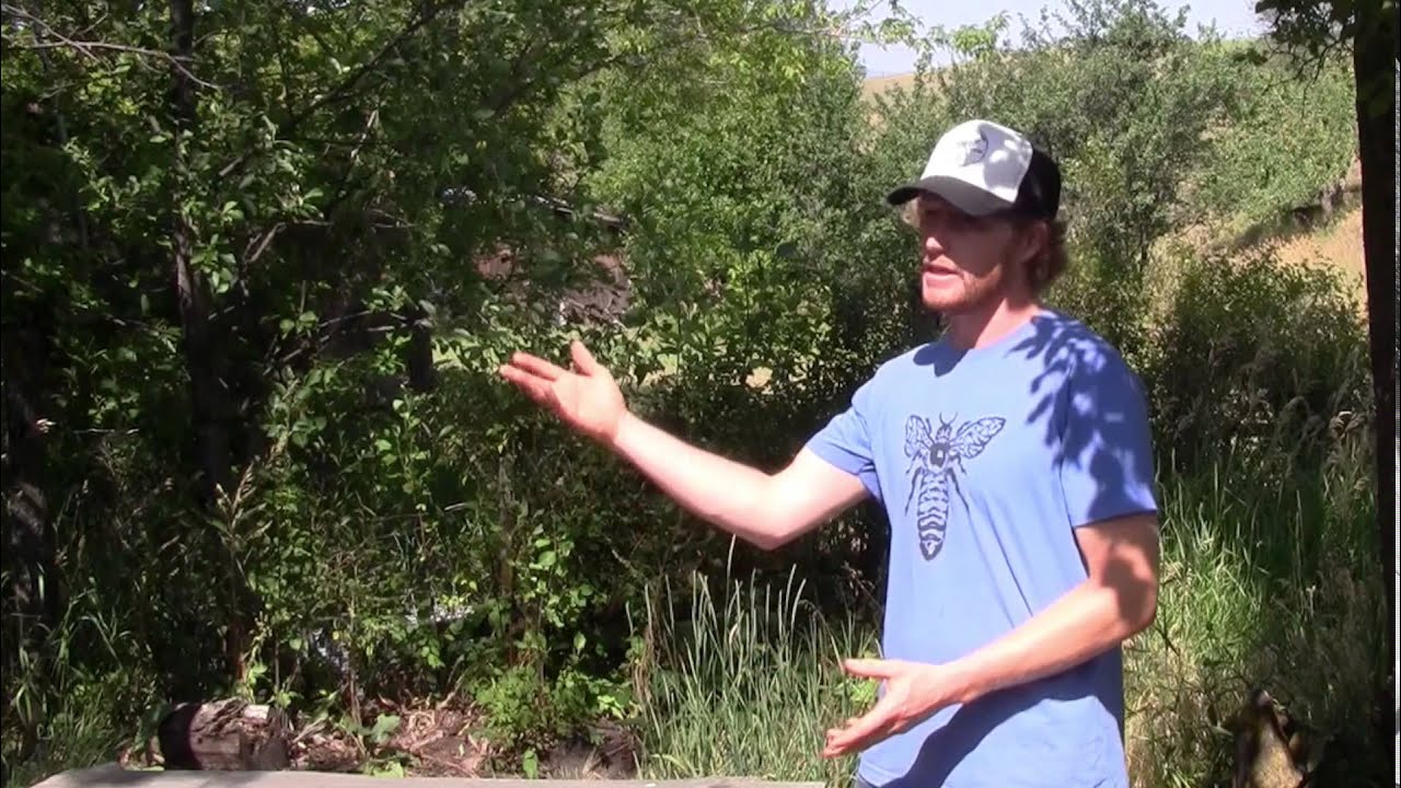 Beekeeping 101: Organics, Tuning into nature's patterns - Part 21 0f 38