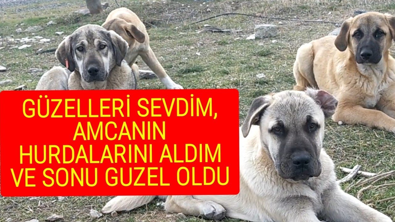 HURDA TOPLUYORUM, BİR ANDA YOLUMU BULDUM