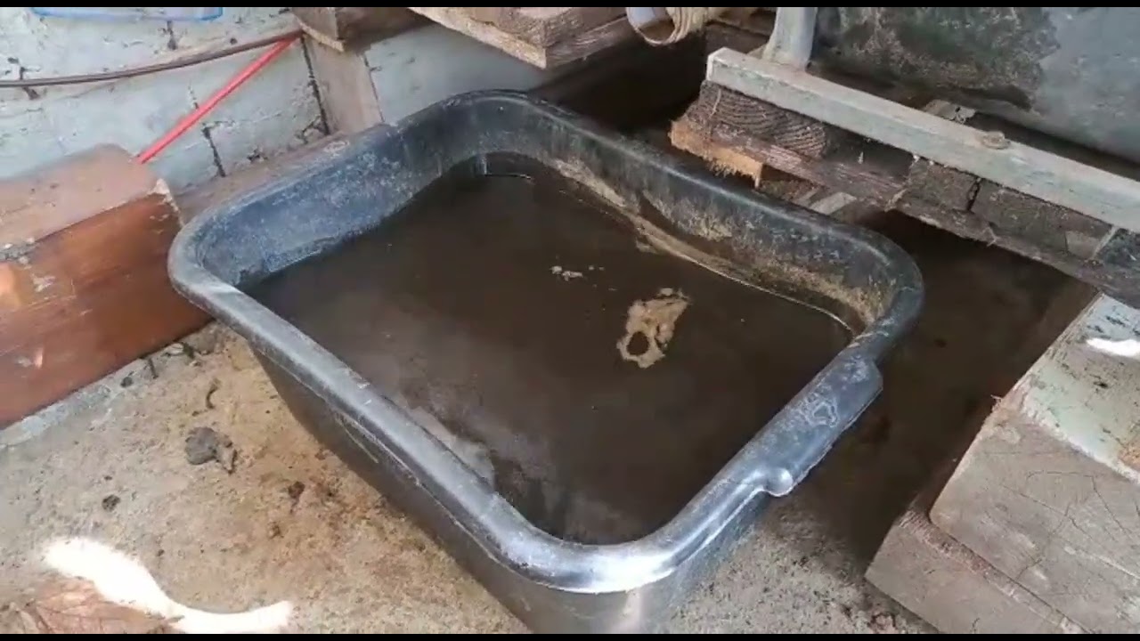 הכנת הדשן האורגני למשתלה