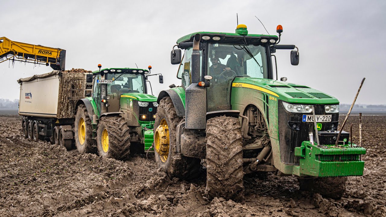 Elakadás John Deere 6190R VS 27 Tonna cukorrépa I SugarBeet Transport in Mud