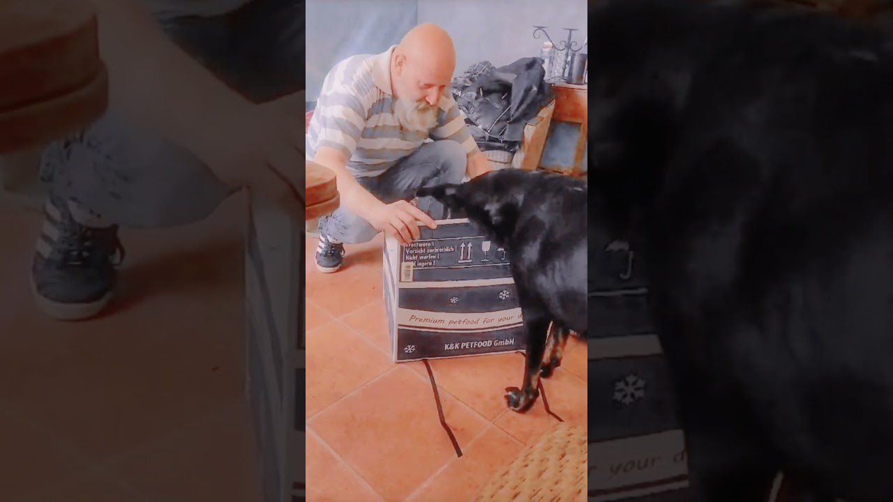 Die Welt der Hunde - Paket f&uuml;r Vaijda