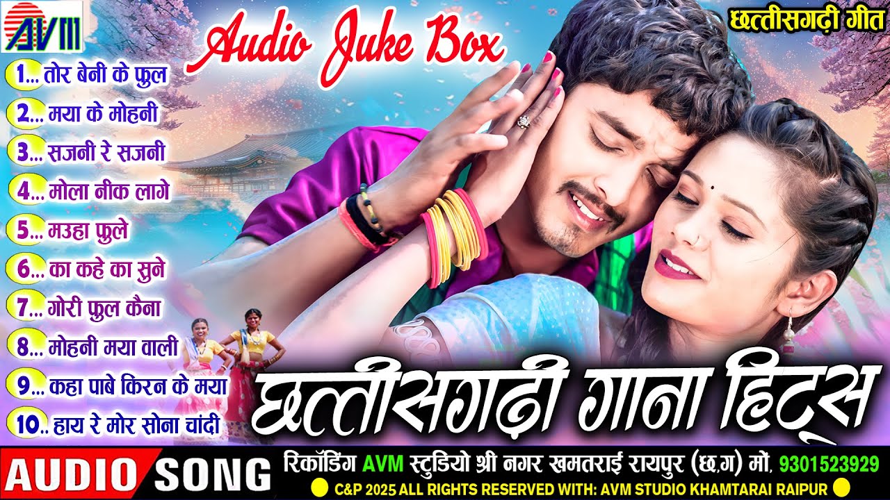 CHHATTISGARHI HITS SONG | AUDIO JUKEBOX | CG SONG | AVM GANA TOP 10 SONG | AVM STUDIO RAIPUR