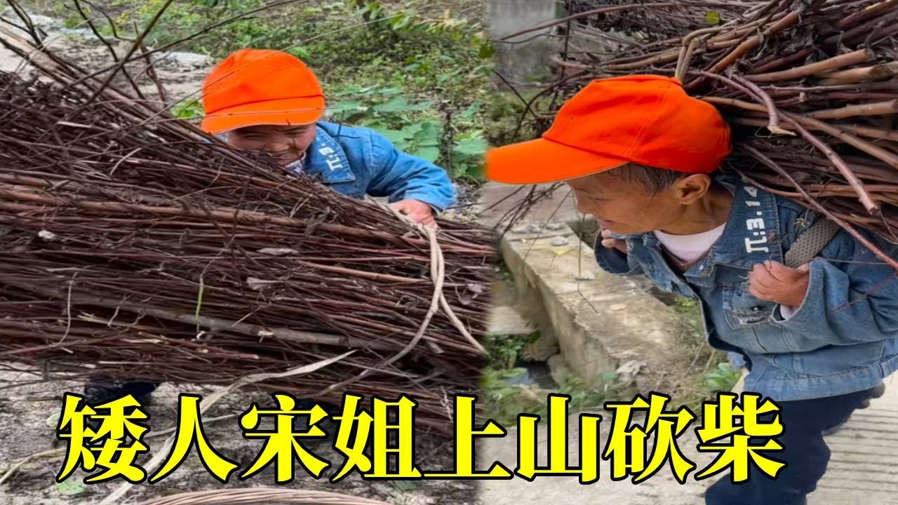 宋姐今天上山去打柴火，冬天来了，柴火用得快，有柴火会很温暖