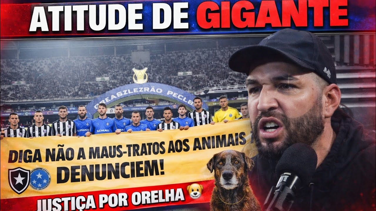 🏆 ATITUDE DE GIGANTE! Botafogo e Cruzeiro pedem JUSTIÇA POR ORELHA 🐕