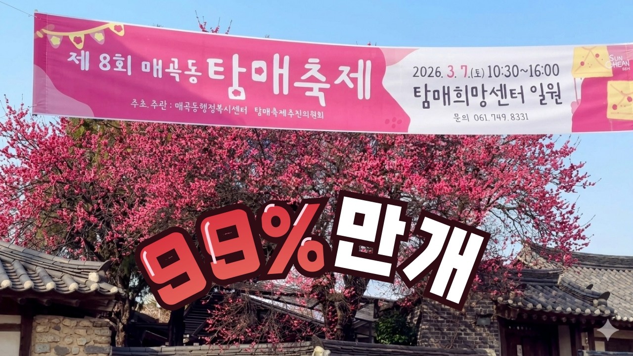 순천 탐매마을 사운즈옥천 홍매화 #대곡동탐매마을홍매화 #600년산홍매화