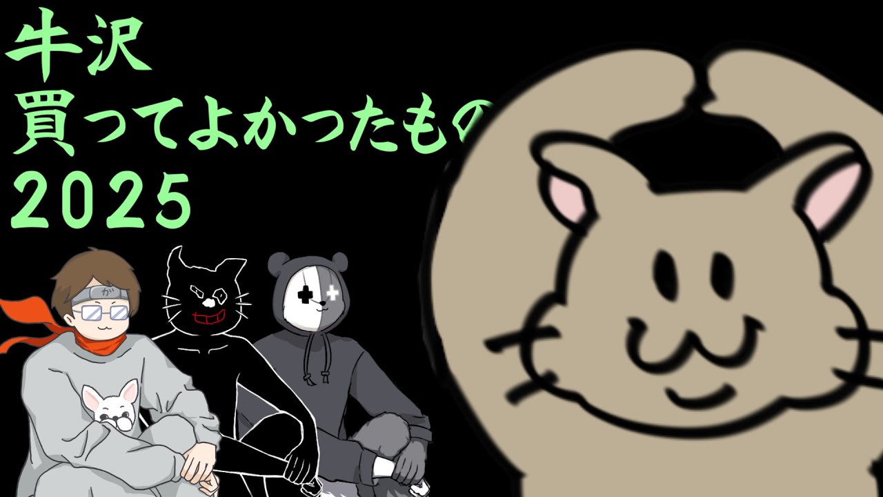 牛沢2025買ってよかったものランキング！！！！！