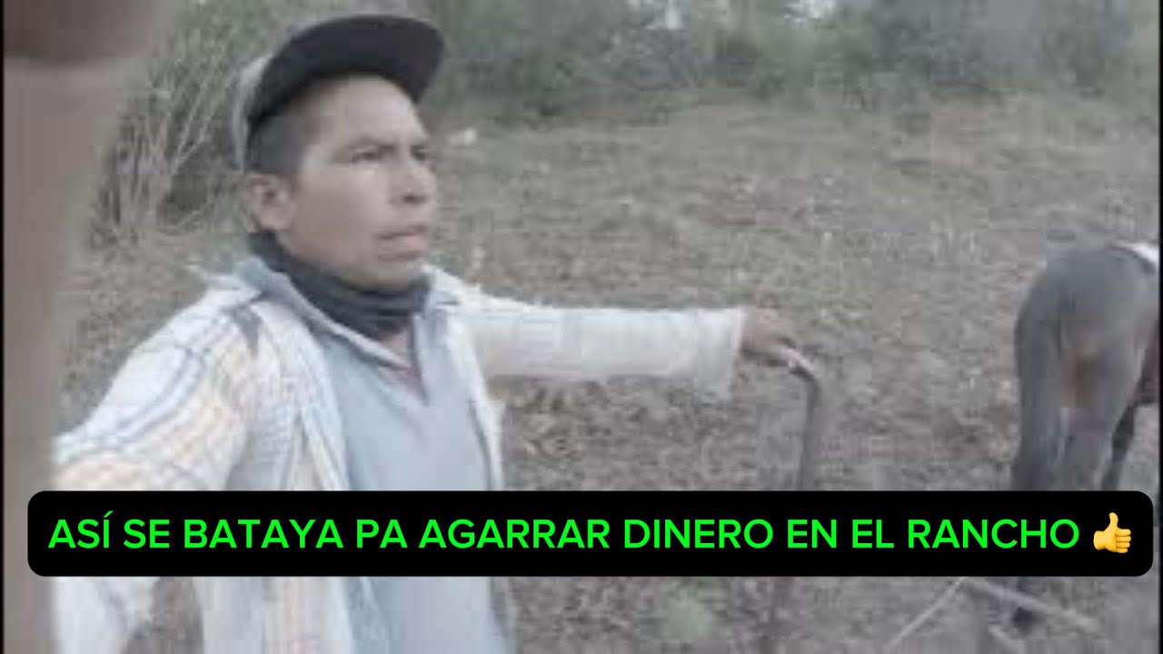 ME FUI A BARBECHAR PA LA SIEMRBA AS&Iacute; me gan&oacute; la vida en el rancho 👍