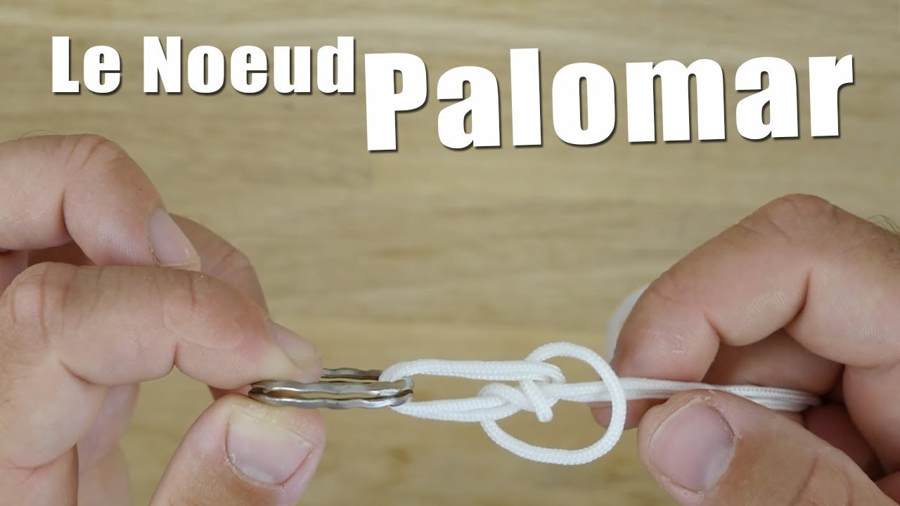 NOEUD de pêche du DÉBUTANT : le noeud Palomar