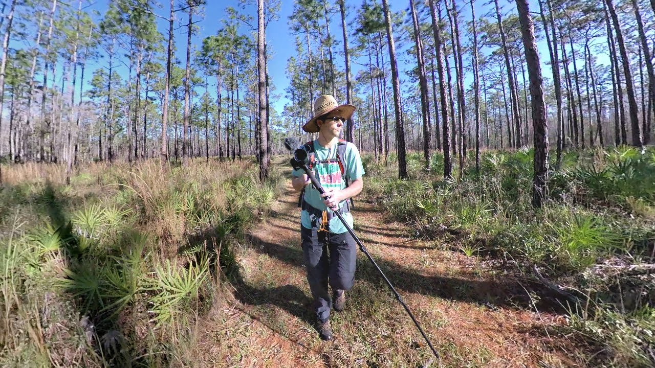 Hiking at Colt Creek State Park