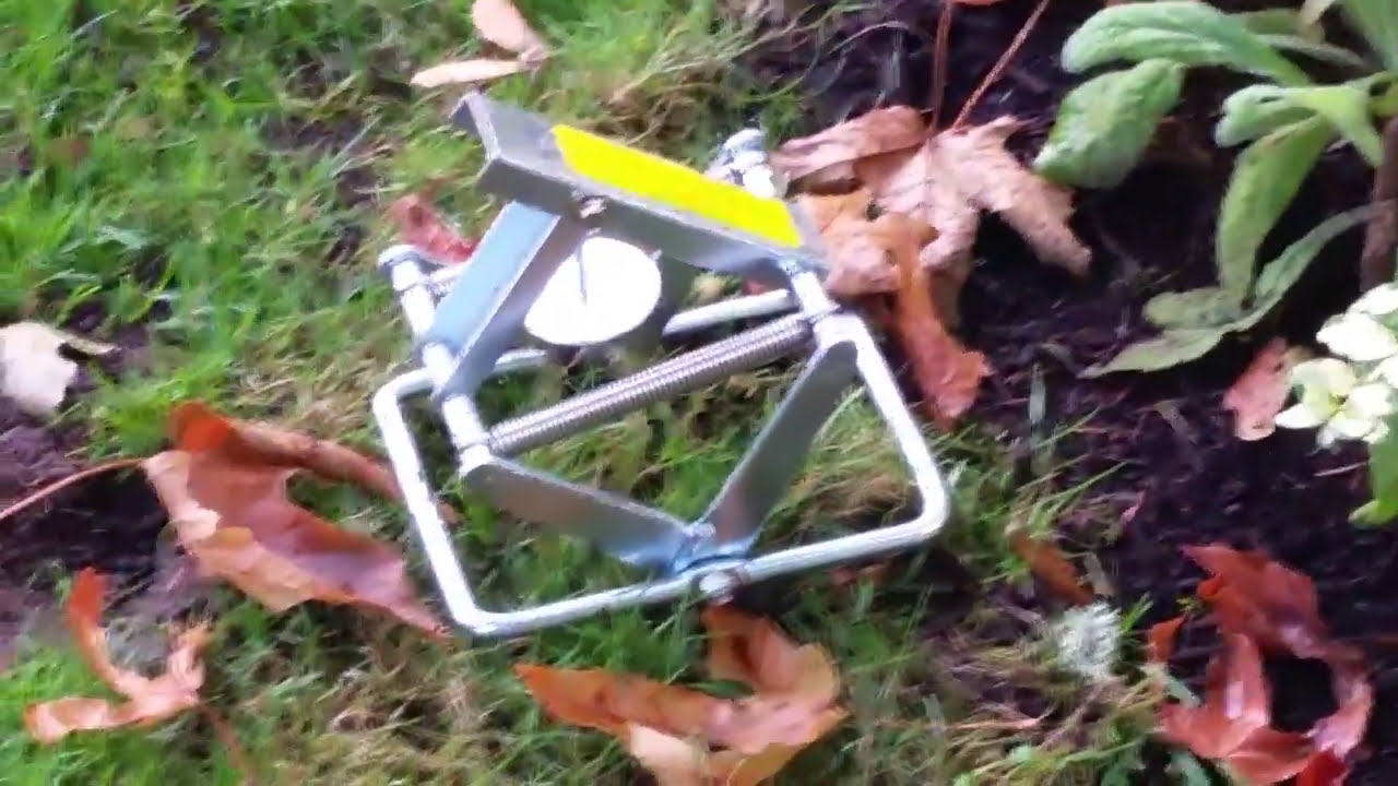 The Easy Mole / Wire Tek 1001 EasySet Mole Eliminator Trap worked great! Users review