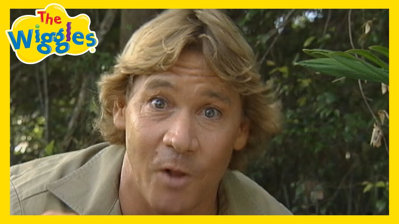 Old Man Emu 🎶 The Wiggles feat. Steve Irwin 🐊 Wiggly Safari #OGWiggles
